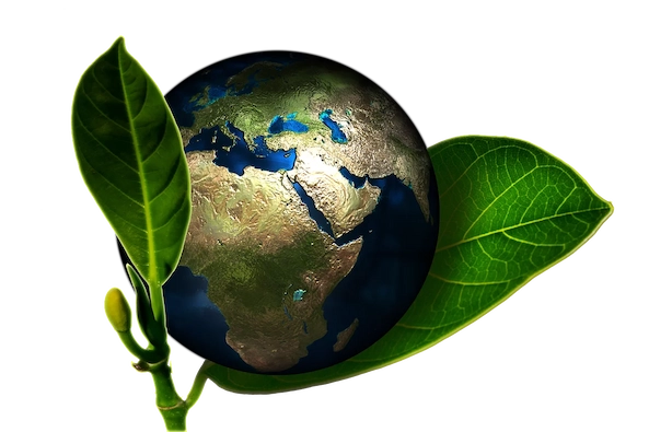 Une démarche éco-responsable dans l’hygiène