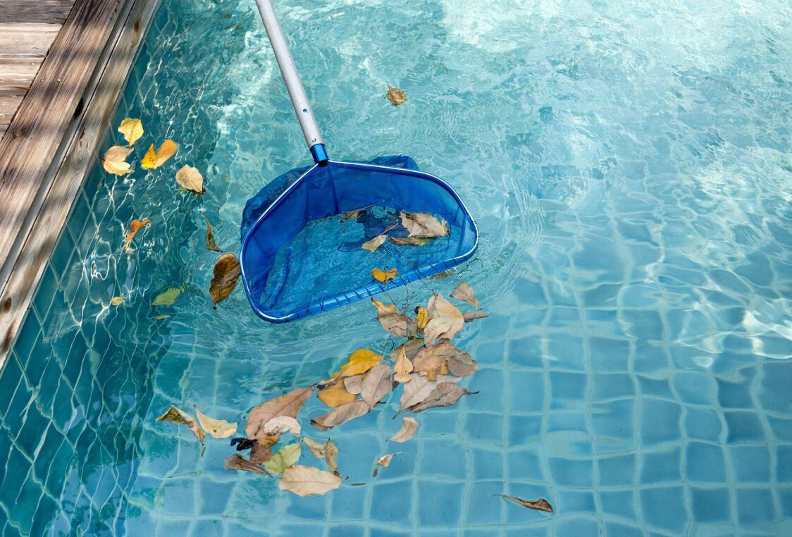 Epuisette enlève feuilles d'une piscine