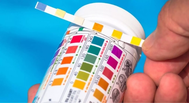 Bandelette d'analyse eau piscine