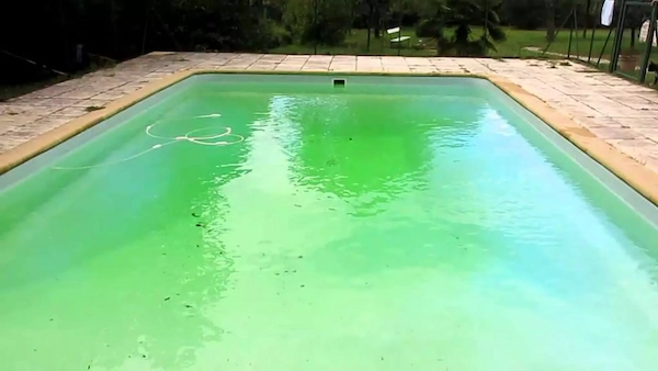 Eau de piscine verte