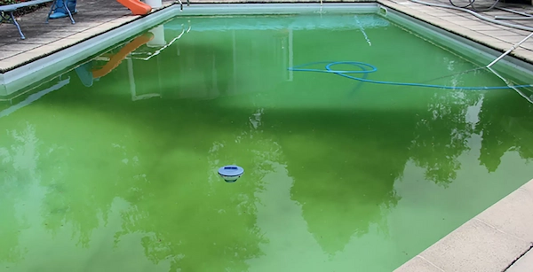 Piscine avec eau verte