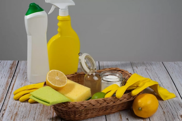 produit nettoyage ecologique