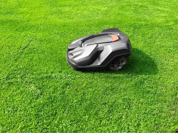 Robot tondeuse husqvarna en train de tondre