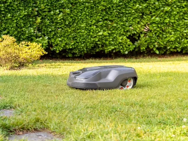 Robot tondeuse pour terrain de 2000 m2