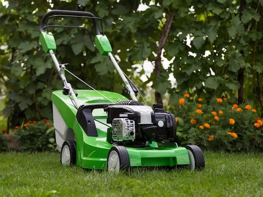 tondeuse à gazon thermique verte