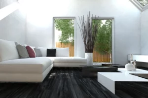 mobilier dans un salon de maison