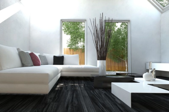 mobilier dans un salon de maison