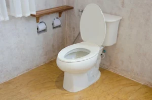toilette blanc